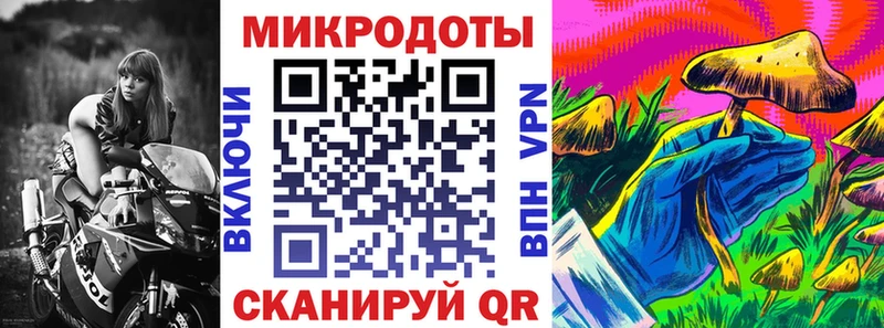 Галлюциногенные грибы Psilocybine cubensis Свободный