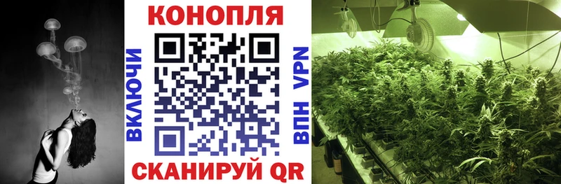 Канабис планчик Свободный